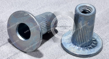 Blind rivet nuts and studs for the automotive industry