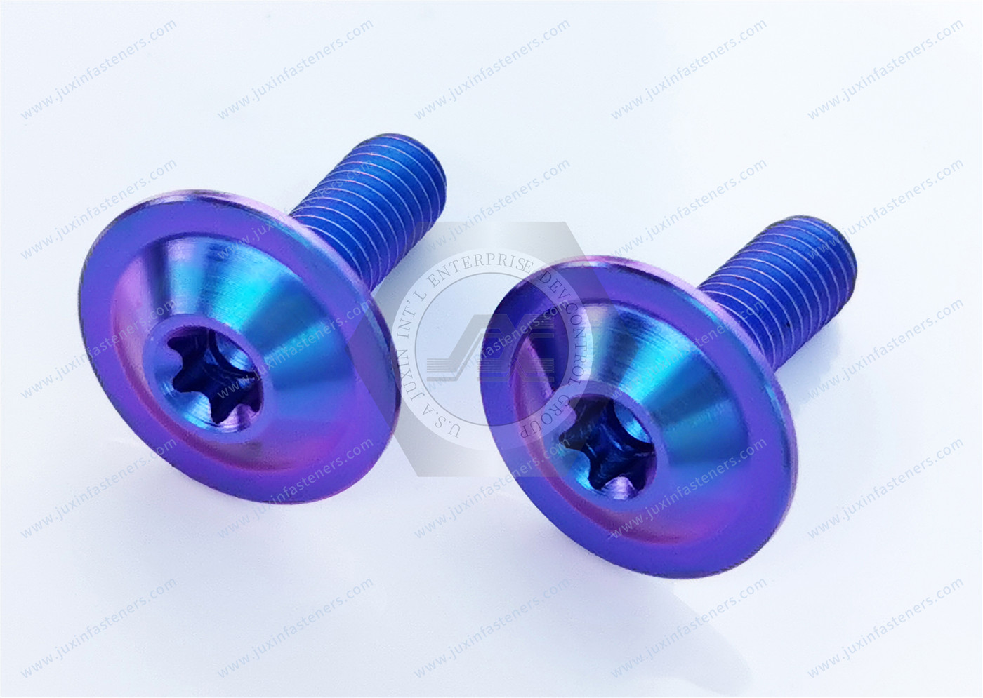 Titanium alloy purple blue Round Washer Head with TORX PLUS Screw