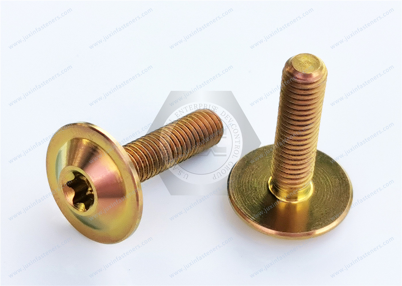 Titanium alloy gold Round Washer Head with TORX PLUS Screw