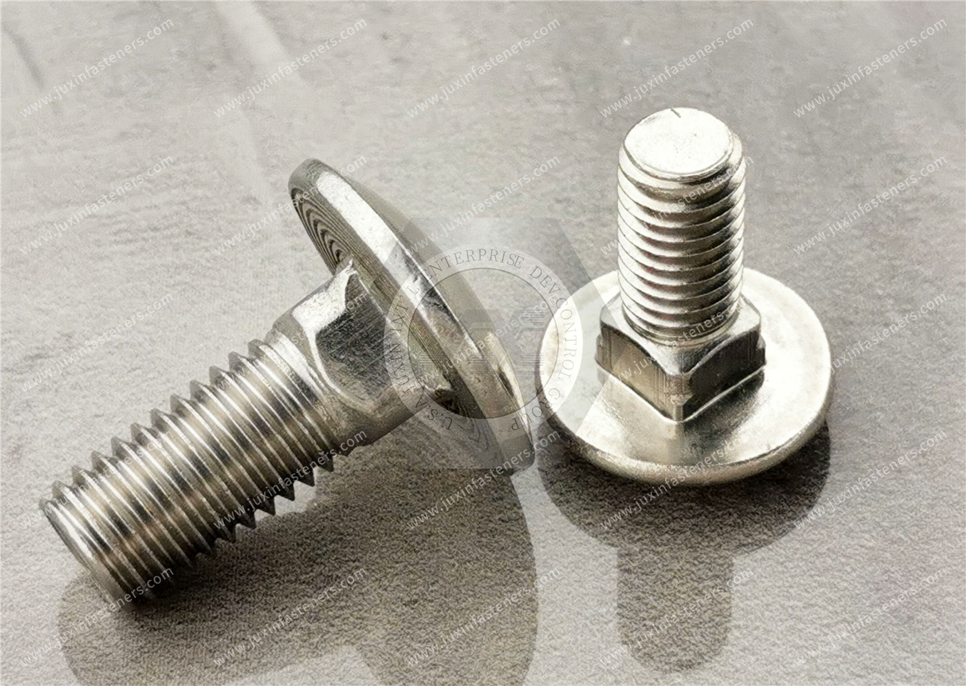 Stainless Steel Square-Neck Carriage Bolts