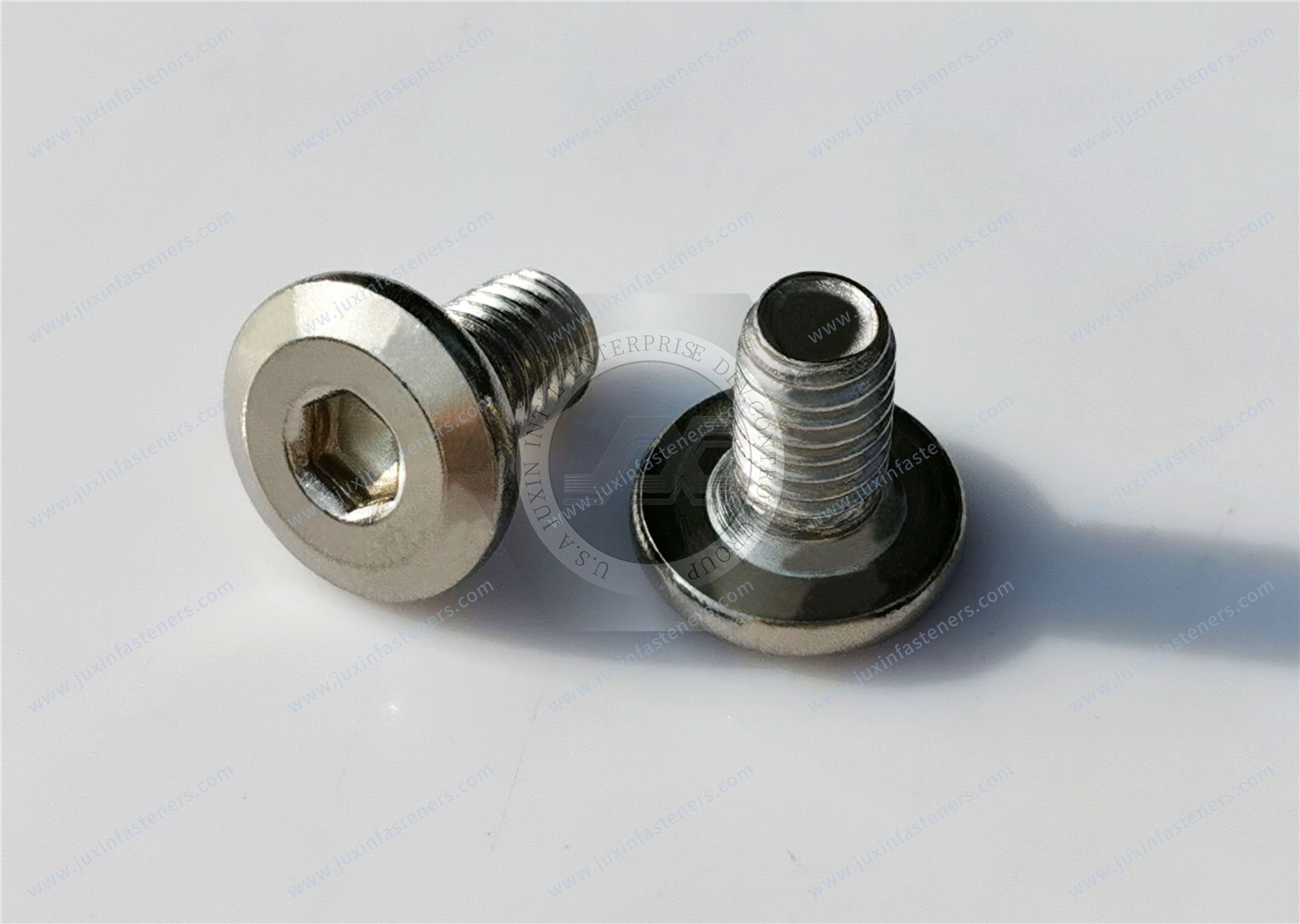 Stainless Steel Low-Profile Socket Head Screws