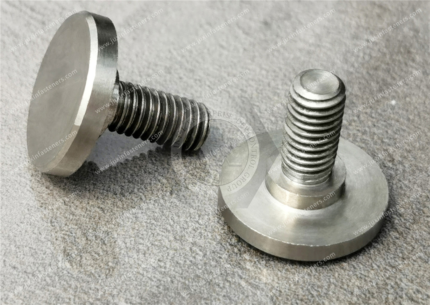 Stainless Steel Extra-Wide Truss Head Screws