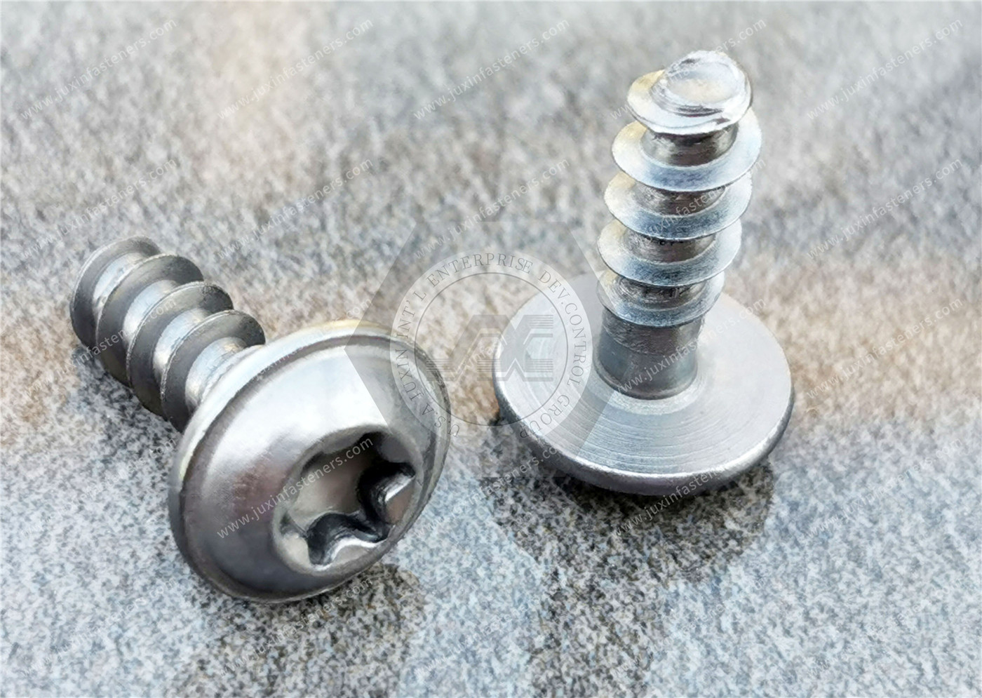 RoundWasher Head with TORX PLUS Self-tapping Screw PT Thread and Steel Thread-Forming Screws for Thin Plastic