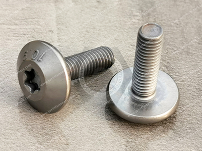 Anti-loose treatment of fasteners for chassis