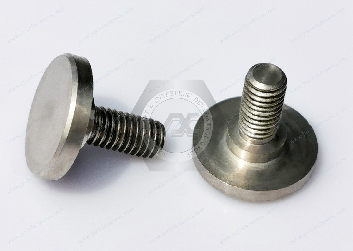 JX-21JG172-M5-10-D15-SS, Stainless Steel Extra-Wide Truss Head Screws M6