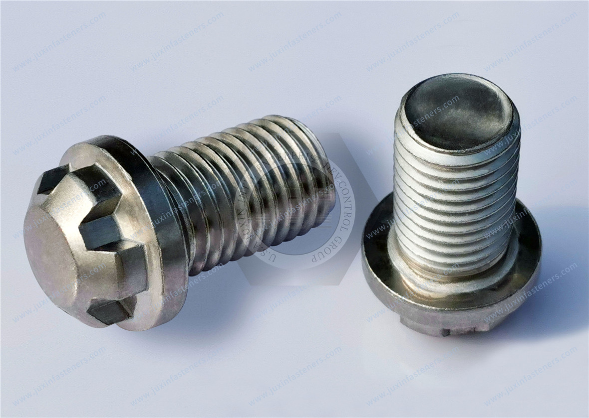 Stainless Steel Outer Torx Flange Bolts Security Fasteners