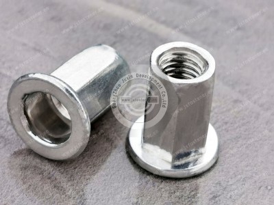 Stainless steel Blind rivet Nut