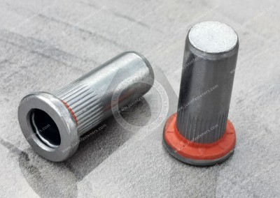 A blind rivet nut molding method, device and blind rivet nut with process for Ev automotive structural design manufacturing process industrial solutions