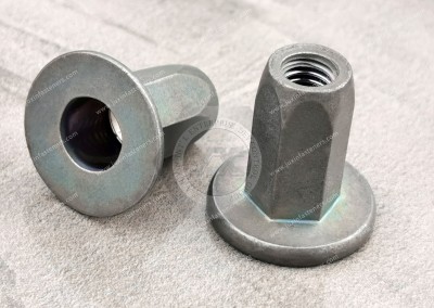 A blind rivet nut molding method, device and blind rivet nut with process for Ev automotive structural design manufacturing process industrial solutions