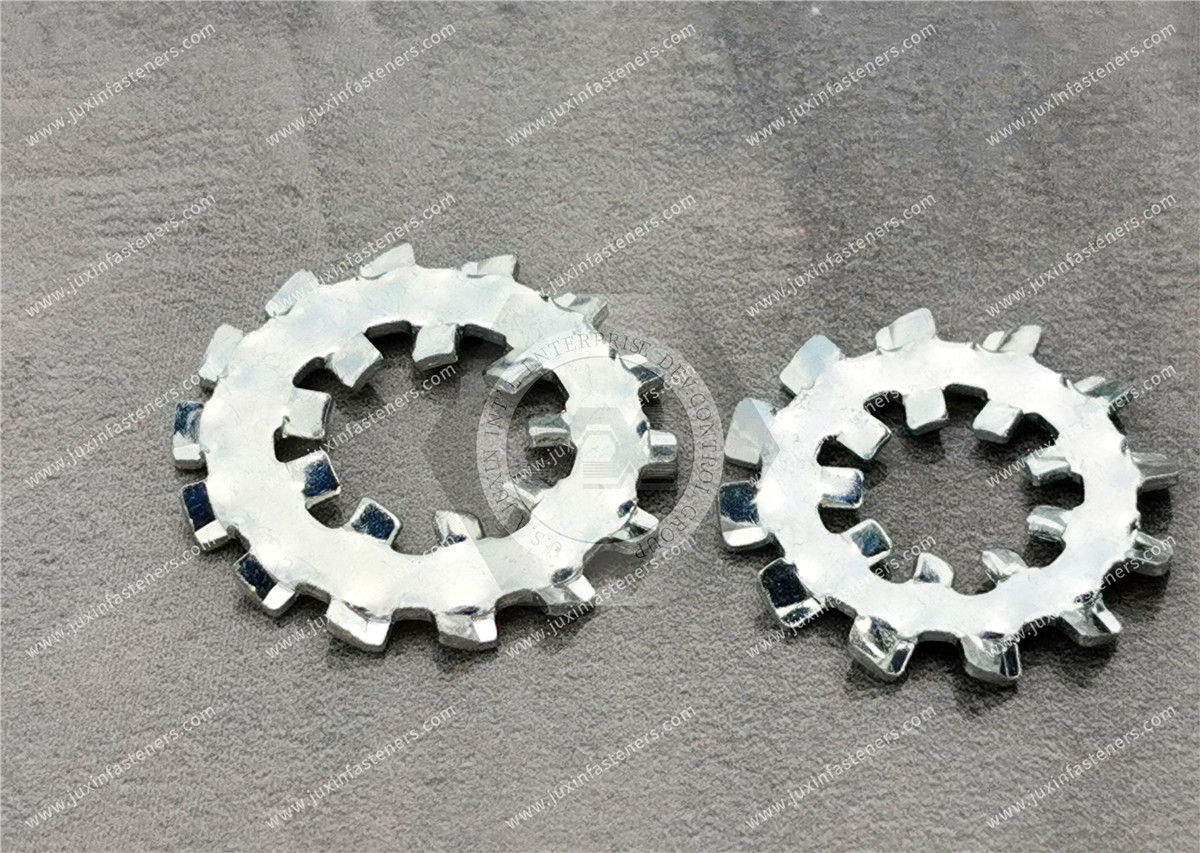 Internal/External Serrated Lock Washer