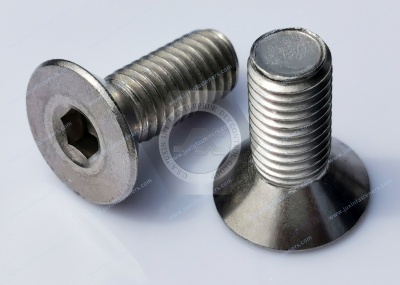 Flat Head Screws (Hex Drive Flat Head Screws, Phillips Flat Head Screws)