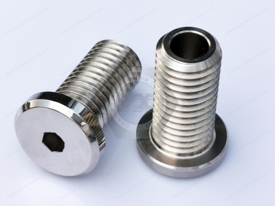 Stainless steel screws executive standard