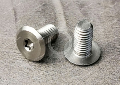 Stainless Steel Tamper-Resistant Screws are used in automobiles.