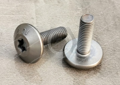 Stainless Steel Tamper-Resistant Screws are used in automobiles.