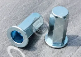 Flat head Closed End Full Hexagonal body blind rivet nuts --Closed end