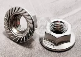 Stainless Steel Flange Nuts