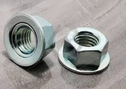 Hexagonal nut and taper elastic gasket assembly