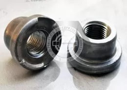 Round-Base Weld Nuts with Projections