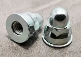 Acorn Hexagon Nuts With Flange-Welding Type