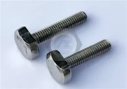 Stainless Steel Bolts and Screws for T-slots