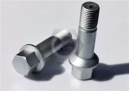 Ball Collar Screw - Type G