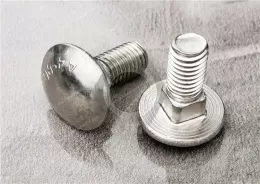 Stainless Steel Square-Neck Carriage Bolts