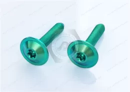 Titanium alloy green Round Washer Head with TORX PLUS Screw