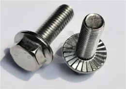 Stainless Steel Flanged Hex Head Screws