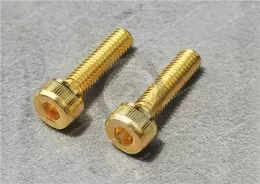 Brass Socket Head Screws