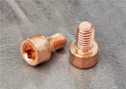 Copper Socket Head Screws