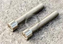 Stainless Steel Socket Head Screws