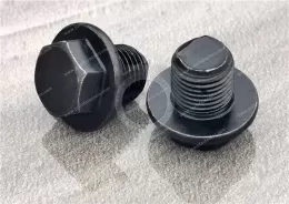 Low-Pressure Iron and Steel Plugs with External Hex Drive