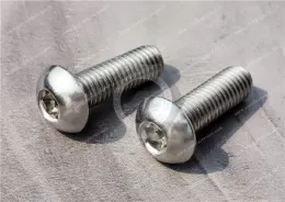 Stainless Steel Tamper-Resistant Button Head Screws