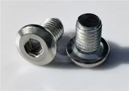 Stainless Steel Hexagon Socket Flat Head Screw