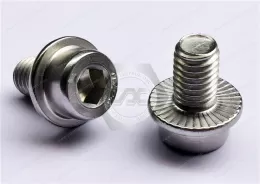 Stainless steel Serrated-Flange Socket Head Screws