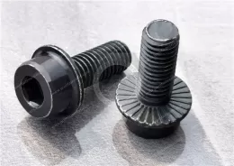 Alloy steel Serrated-Flange Socket Head Screws&Serrated-Flange Socket Head Screws