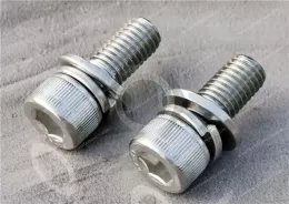 Cleaned and Bagged 18-8 Stainless Steel Socket Knurled Head Screws for High Vacuum with flat washer spring washer