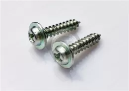 Carbon steel Rounded Head Screws with Washer for Sheet Metal