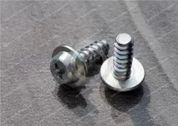 Carbon Steel Rounded Head Screws with Washer for Sheet Metal （Type F）