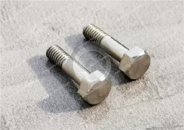 Stainless Steel Hex Head Screws