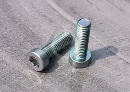 Torx Alloy Steel Socket Head Screws