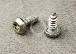 Stainless Steel Tamper-Resistant Button Head Torx Screws Tapping Screws C Type