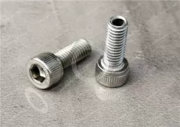 Stainless steel Through Hole Type Hexagon Socket Bolt