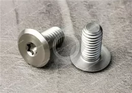 Stainless Steel large Pan Head Torx Screws