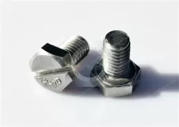 Stainless steel Hexagon head slotted bolt