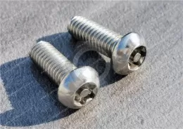 Stainless Steel Tamper-Resistant Button Head Torx Screws