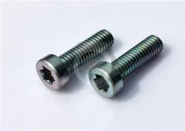 Metric Steel Socket Head Torx Screws