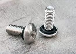 Sealing Pan Head Screws