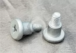 Phillips Flat Head Screw Low-Profile Rounded Head Stepped Screws