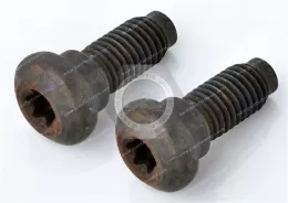 Torx Alloy Steel Socket Head Stepped Screws